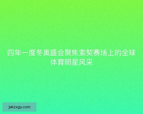 四年一度冬奥盛会聚焦索契赛场上的全球体育明星风采
